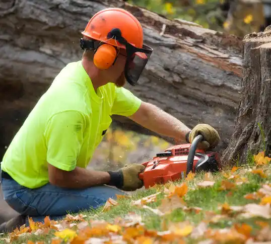 tree services Shelter Island Heights